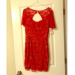 Pink Lily Boutique Red Lace Dress